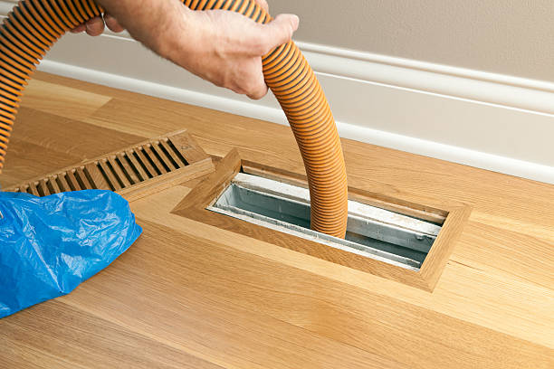 Best Dryer Vent Cleaning Services  in Pearson, GA