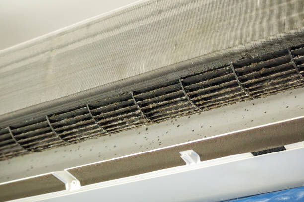 Best HVAC Duct Inspection Services  in Pearson, GA