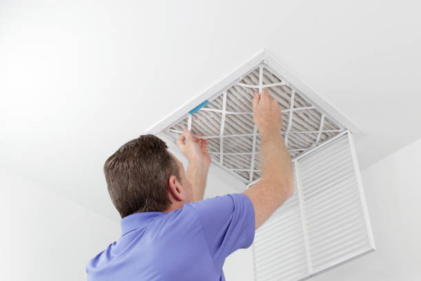 Best Local Air Duct Cleaning Services  in Pearson, GA